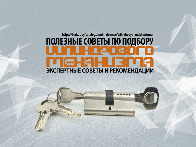 Как выбрать цилиндровый механизм для входной двери: полезные советы
